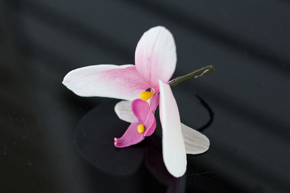 Орхидея из сахарной мастики