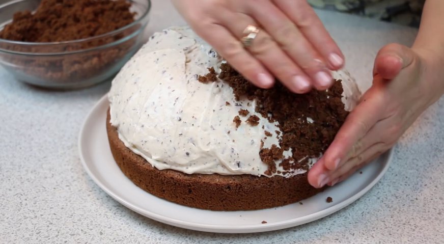 Торт норка крота: Снимаем кондитерское кольцо, и присыпаем торт бисквитной крошкой.